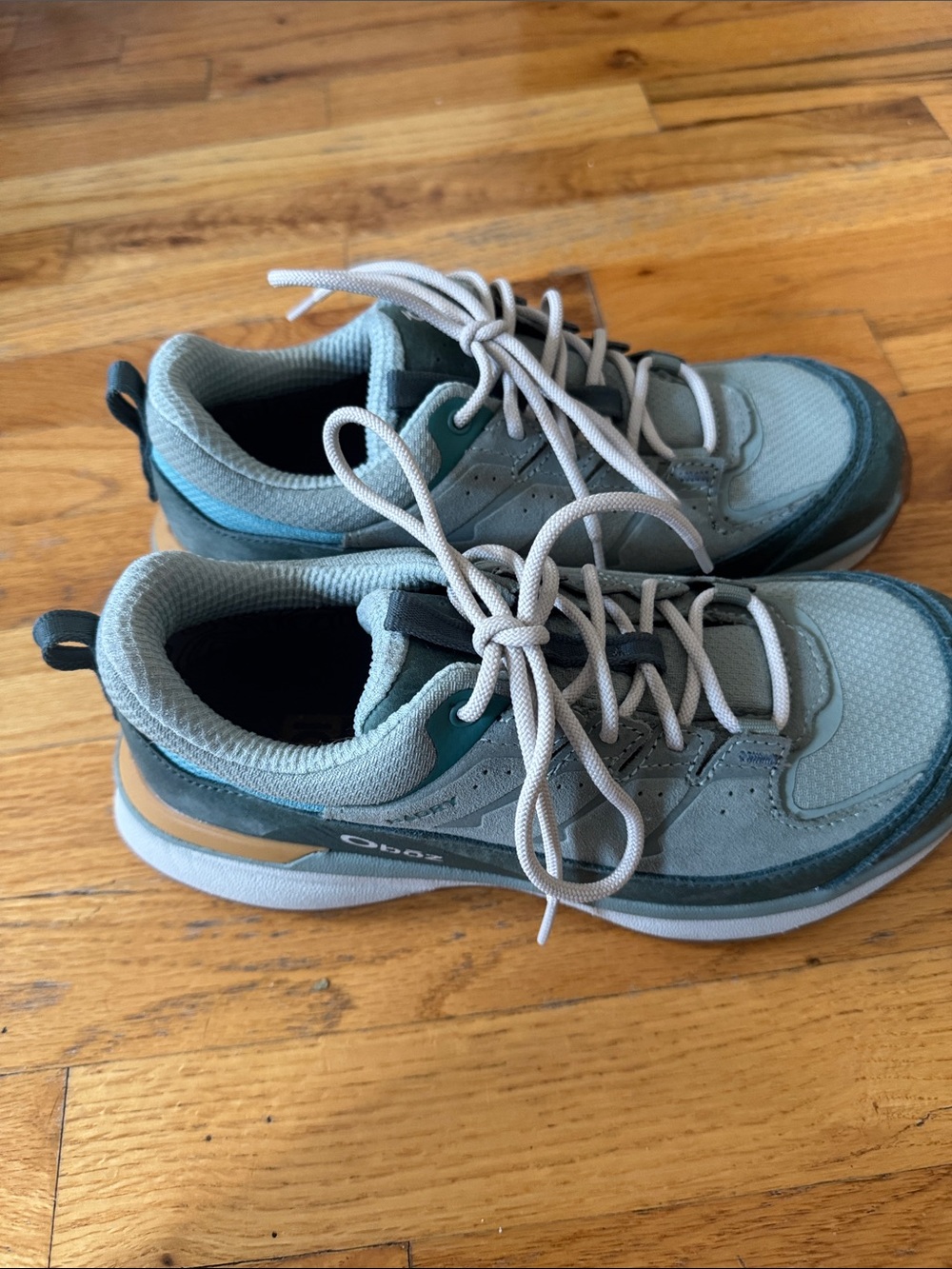 Women's Hyalite Low Waterproof Hiking Shoe